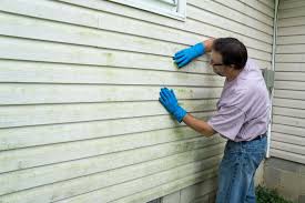 Best Fiber Cement Siding Installation  in Flandreau, SD